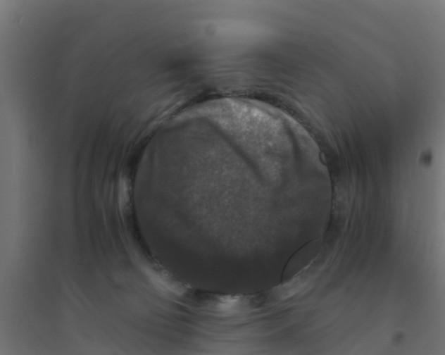 X0000094180130200711241601
