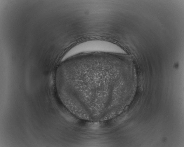 X0000094180131200711241601