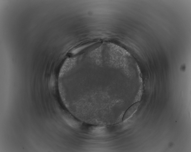 X0000094180132200711241601
