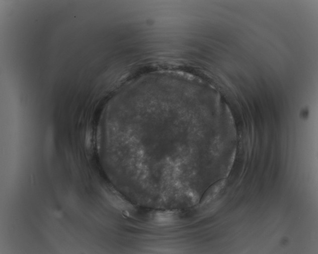 X0000094180134200711241601