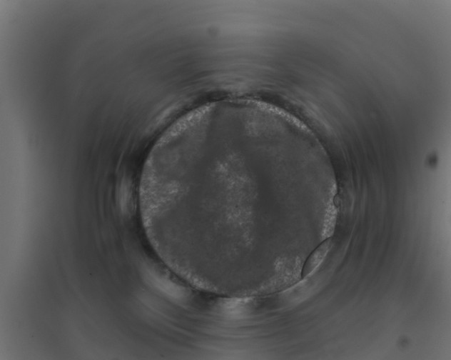 X0000094180136200711241601