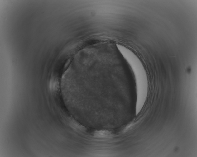 X0000094180137200711241601