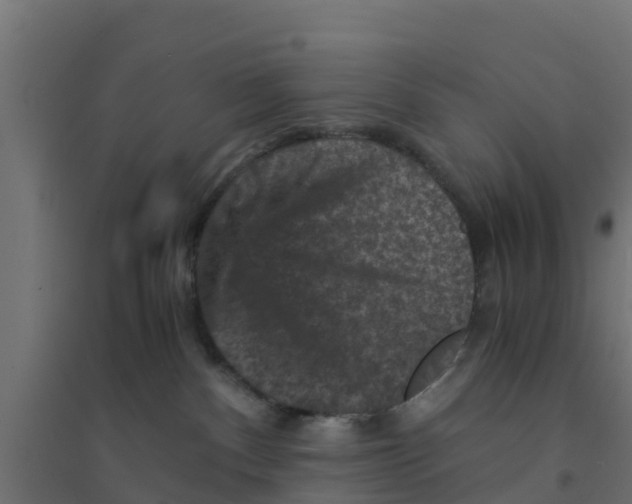 X0000094180140200711241601