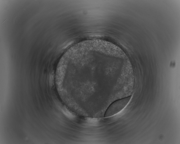 X0000094180144200711241601