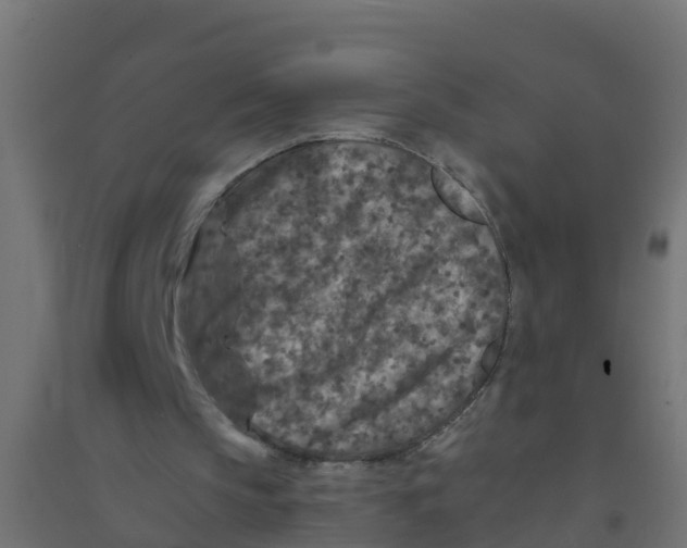 X0000094180145200711241601
