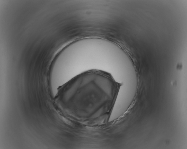 X0000094180146200711241601