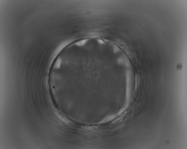 X0000094180147200711241601