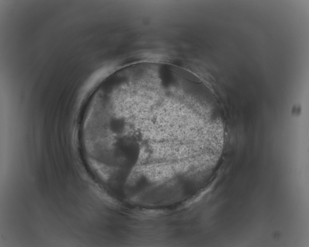 X0000094180149200711241601