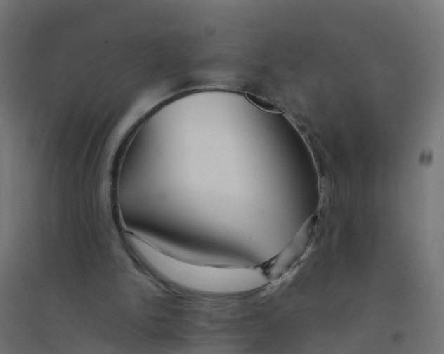 X0000094180150200711241601