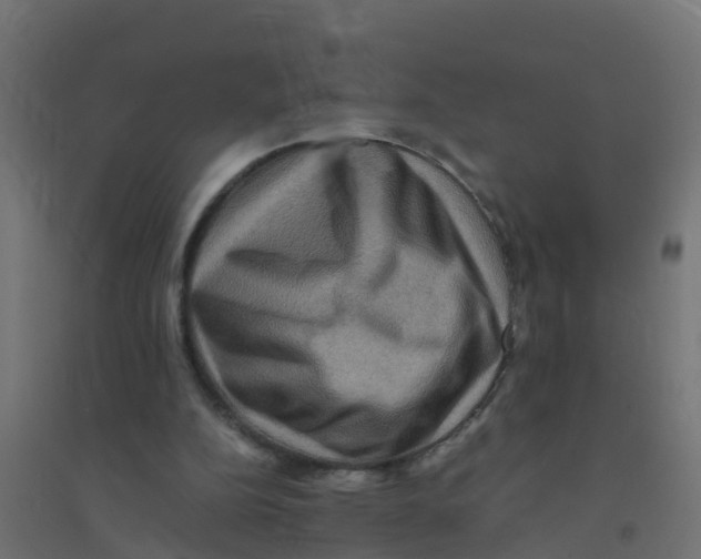 X0000094180152200711241601