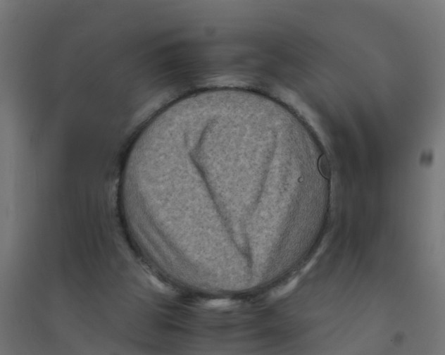 X0000094180153200711241601