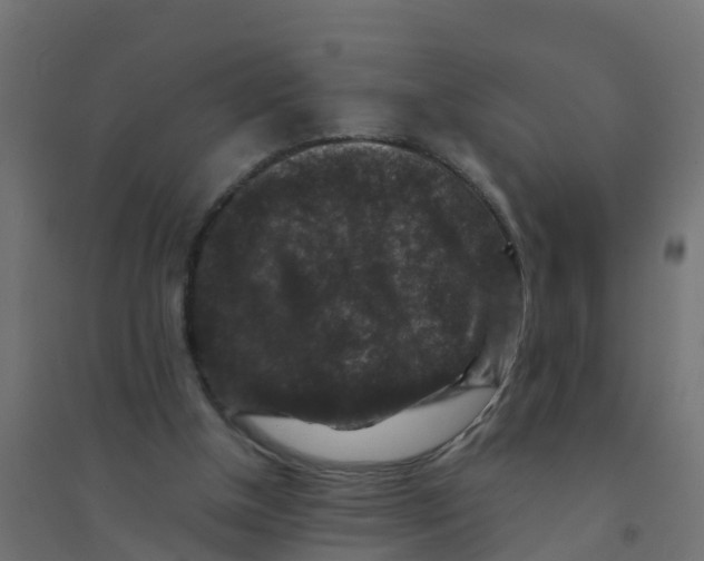 X0000094180154200711241601