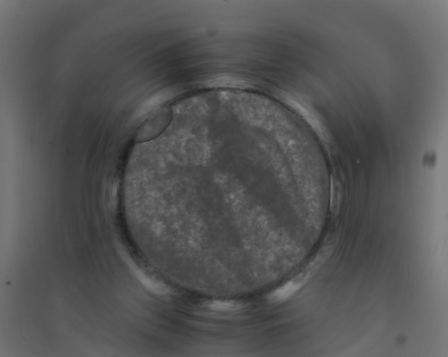X0000094180157200711241601