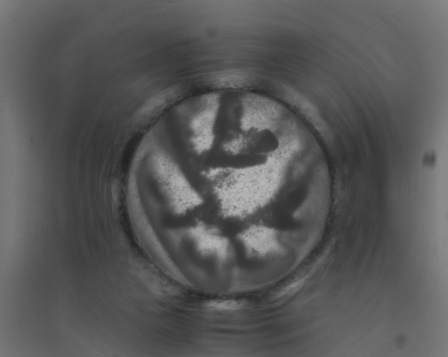 X0000094180161200711241601