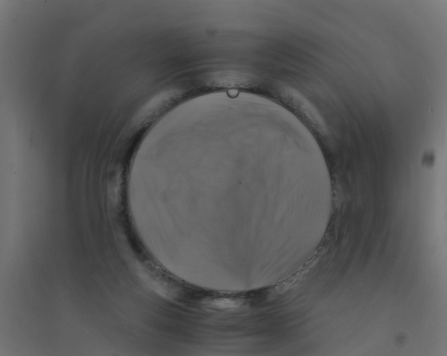 X0000094180163200711241601