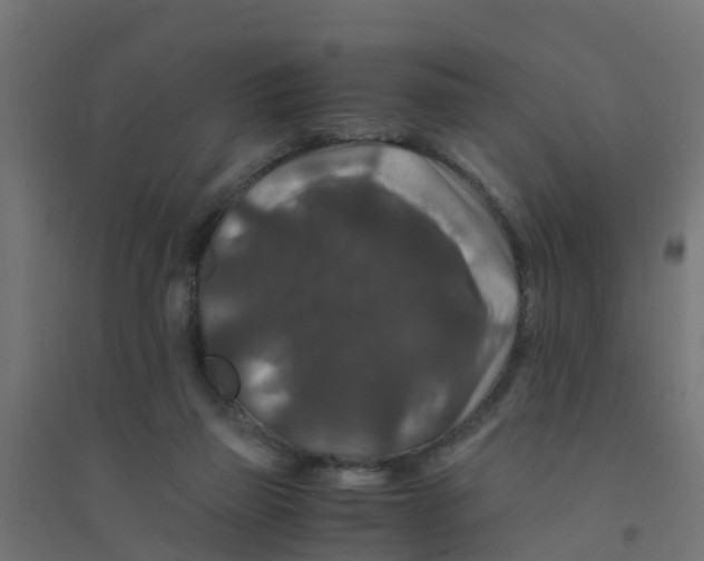 X0000094180165200711241601