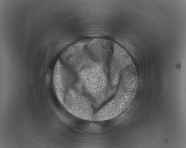 X0000094180166200711241601