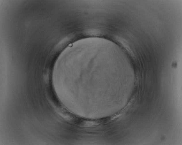 X0000094180167200711241601