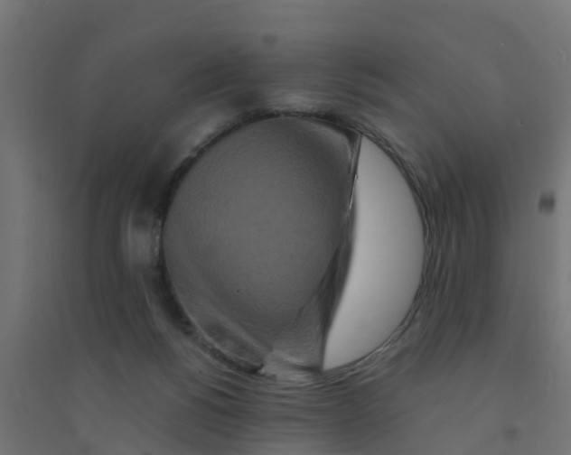 X0000094180168200711241601