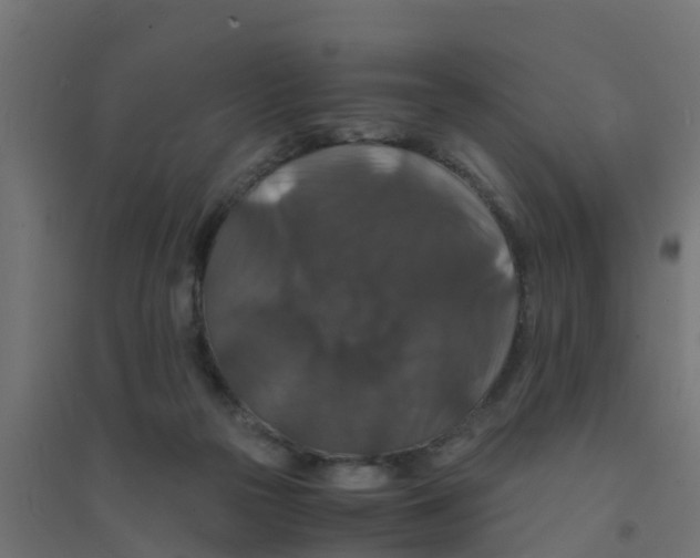 X0000094180169200711241601