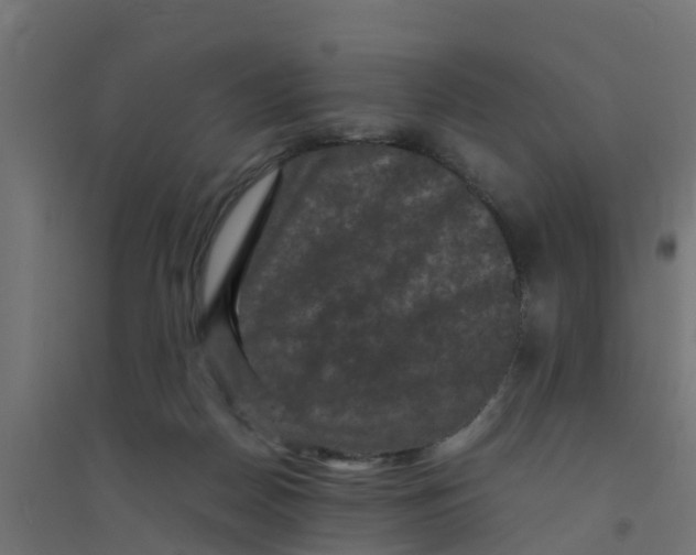 X0000094180170200711241601