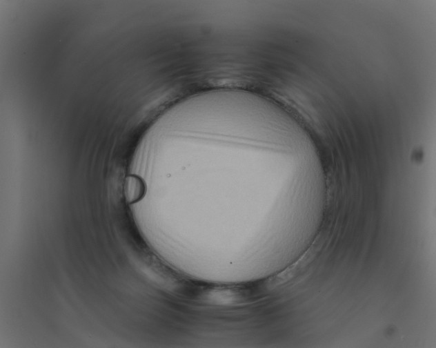 X0000094180171200711241601