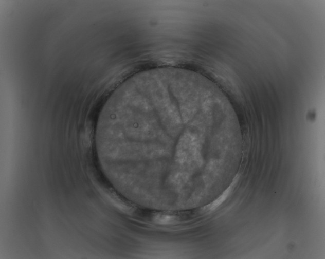 X0000094180174200711241601