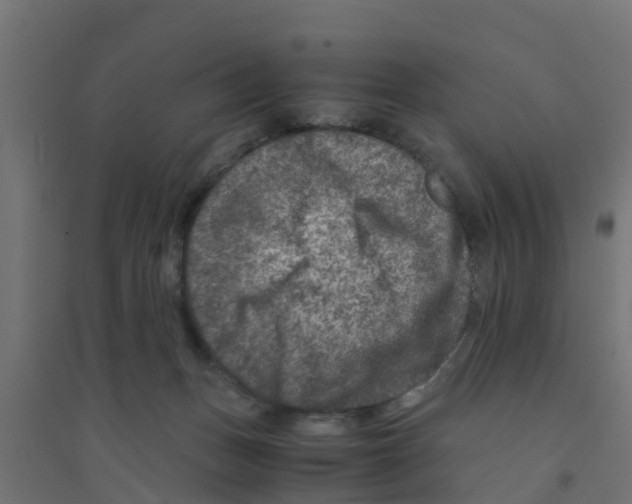X0000094180175200711241601