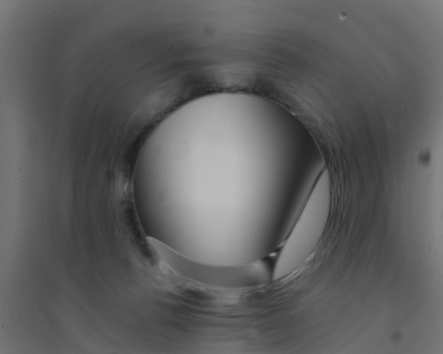 X0000094180176200711241601