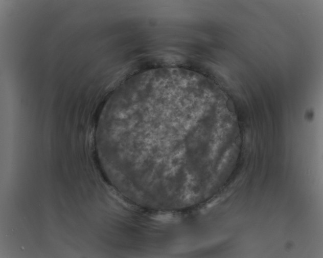 X0000094180177200711241601