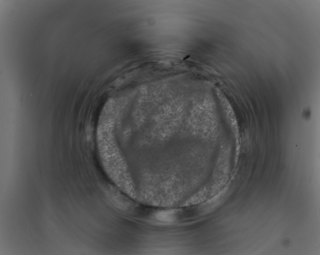 X0000094180178200711241601