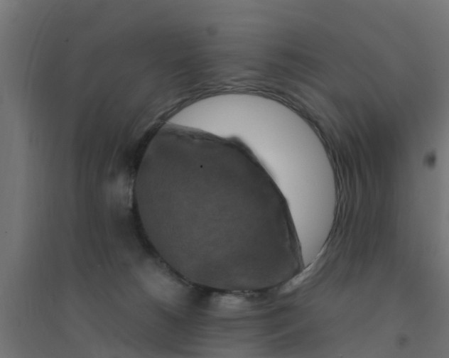 X0000094180180200711241601