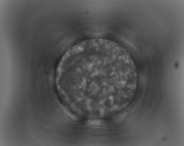 X0000094180181200711241601