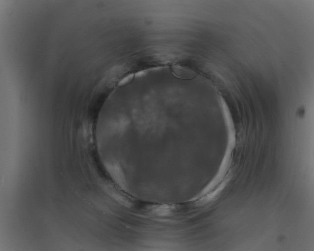 X0000094180182200711241601