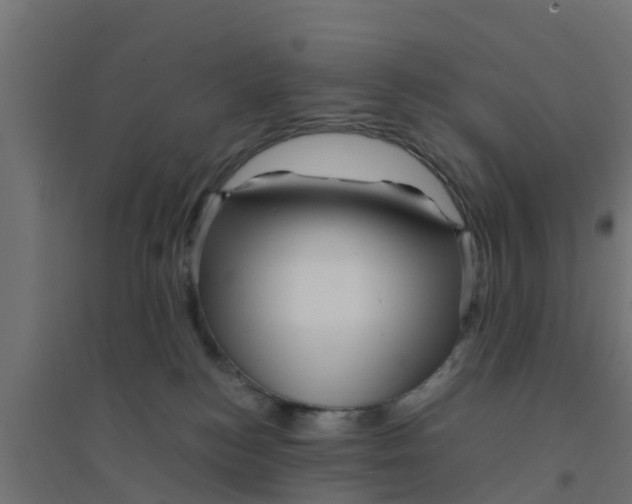 X0000094180184200711241601