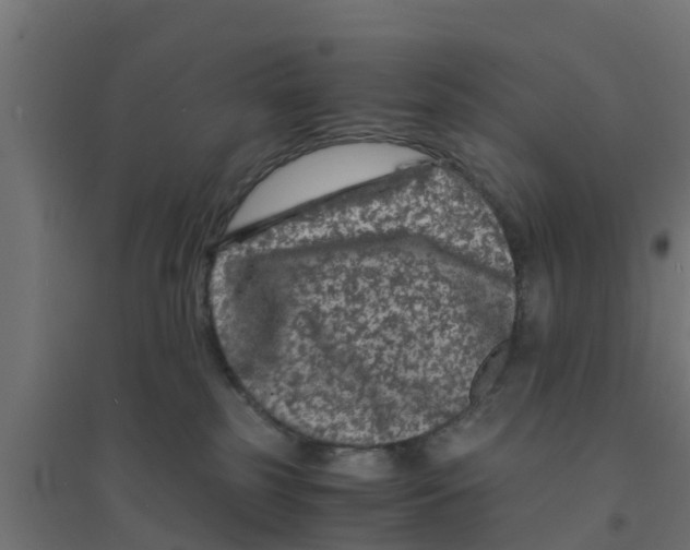 X0000094180185200711241601