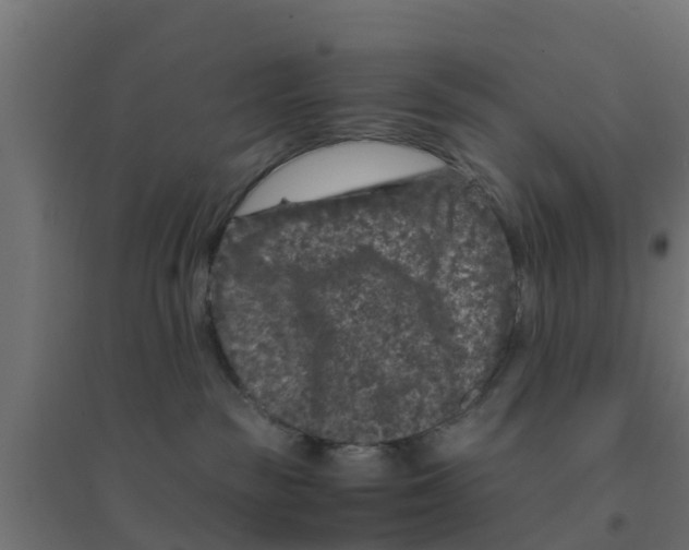 X0000094180189200711241601
