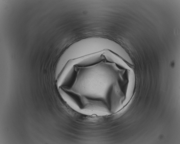 X0000094180190200711241601