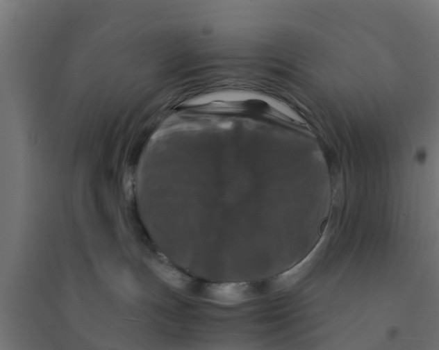 X0000094180191200711241601