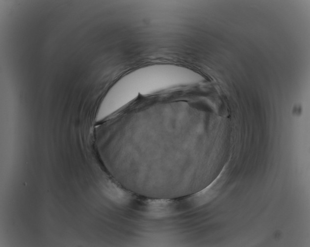 X0000094180192200711241601