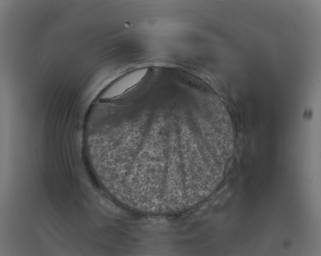 X0000094180194200711241601