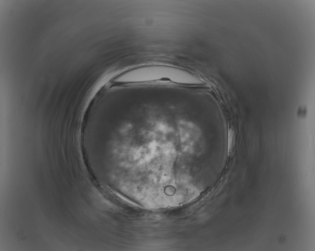 X0000094180195200711241601