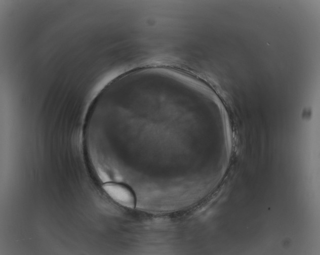 X0000094180196200711241601