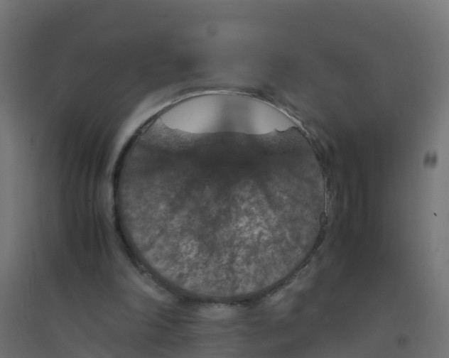 X0000094180198200711241601