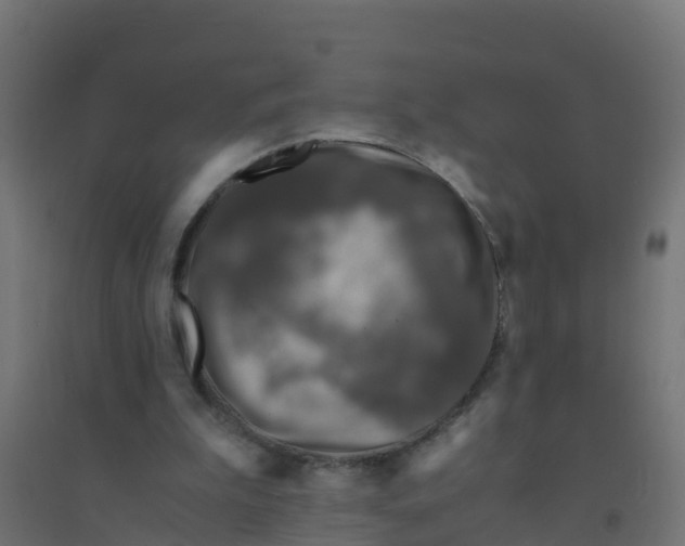 X0000094180199200711241600
