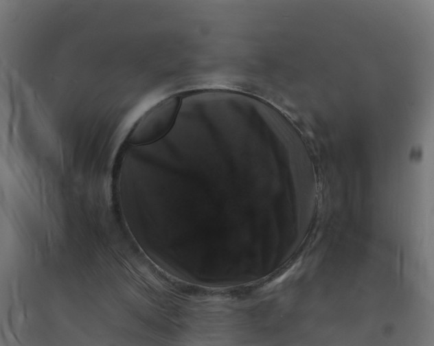 X0000094180200200711241600
