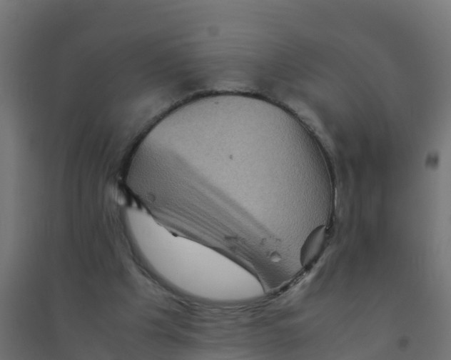 X0000094180201200711241600