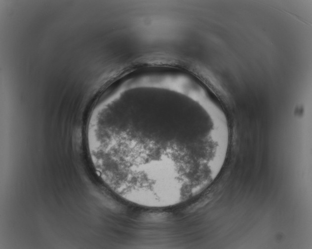 X0000094180202200711241600