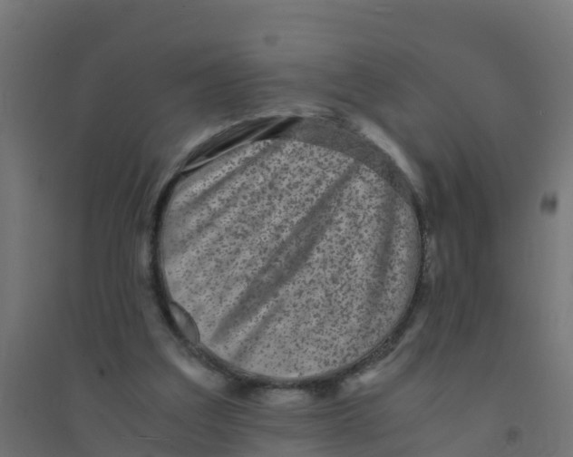 X0000094180203200711241600