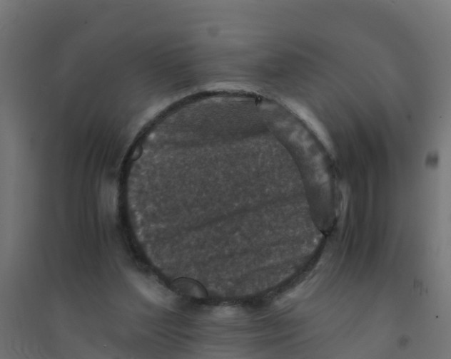 X0000094180204200711241600